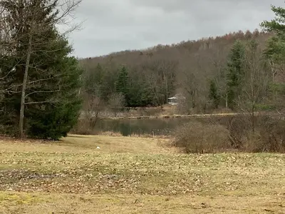 a field with a lake and trees and a house at Lakeside Tiny Cozy Retreat in Ulster