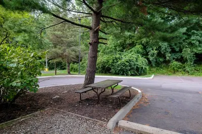 a park bench sitting next to a tree with a tree at HomeTowne Studios by Red Roof Danville, PA in Danville