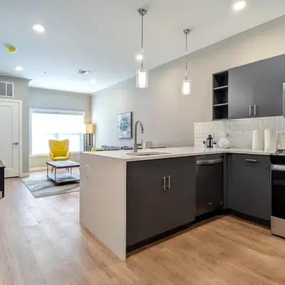 310 Brand New 1 Bedroom 1 Bath 1 Full Kit 1 Liv
