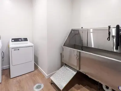 a bathroom with a sink and a washing machine at 321 Modern 1BR Apt Walk to NJT in Dunellen