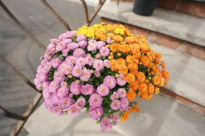 a bouquet of colorful flowers on a table at Newark Liberty Brick House - Private Bedroom 4 in Newark