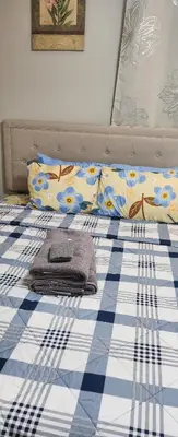 a bed with a blue and white checkered blanket and pillows at Happiness queen room 3 in Newark