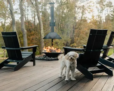 a white dog standing on a deck next to chairs at Coop 002 in Kenoza Lake