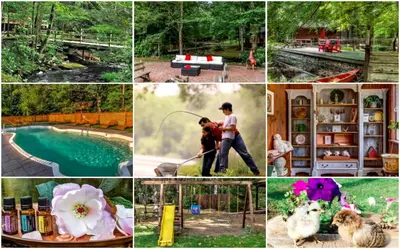 a collage of pictures of people and animals and a pool at Private Cabin Rental with Wood-Burning Fireplace in Canadensis, Pennsylvania in Canadensis