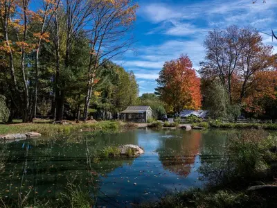 a pond in the middle of a park with trees at Incredible Spacious Dome for A Group Glamping Experience Surrounded by Nature in Woodridge, New York in Woodridge