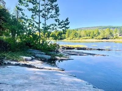 a river with rocks and trees on the shore at Charming Milford Montague Riverway Cottage in Montague