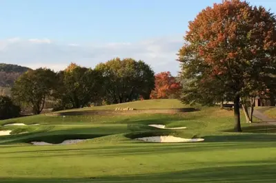 a green golf course with a tree and a pond at PR near Lourdes and UHS Hospital in Johnson City