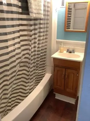 a bathroom with a sink and a shower curtain at Intimate PR near Binghamton University. Free Park in Johnson City