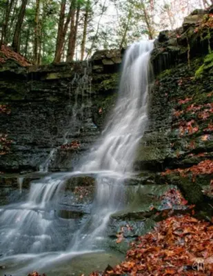 a waterfall on the side of a hill with leaves at Pleasant, Comfortable PR Near Vestal NY in Johnson City