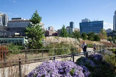 a couple of people walking through a garden with purple flowers at Chelsea 1BR w Water views Doorman NYC-210 in New York