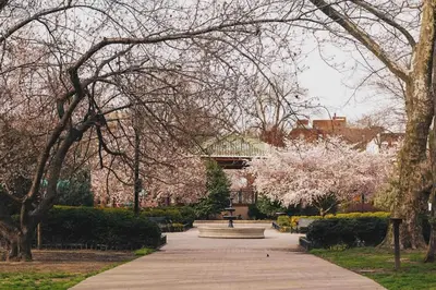 a park with a fountain and trees and a building at One Hamilton Essentials - 3 Bedroom 2 Bathroom Apt Mins to NYC in Jersey City