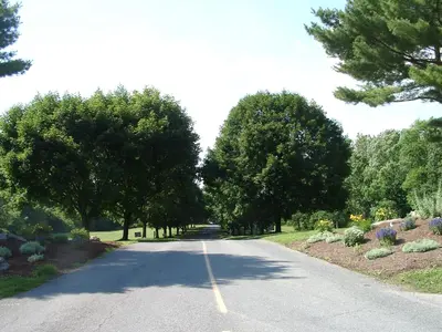 a road with trees and flowers on the side of it at Circle M Camping Resort Yurt in Lancaster