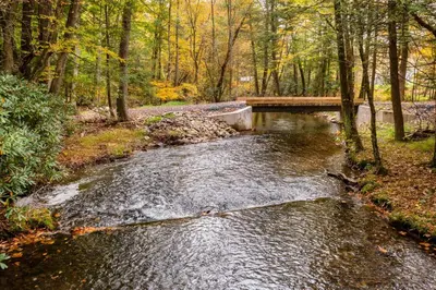 a stream of water with a bridge in a forest at Unwind Fireside! Poconos Cottage 12 Mi to Slopes in Brodheadsville