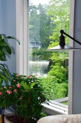 a window with a potted plant in front of it at Cottage at Millpond Falls - A Romantic Escape in Warwick