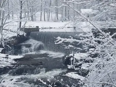 a waterfall in a snow covered forest with snow covered trees at Cottage at Millpond Falls - A Romantic Escape in Warwick