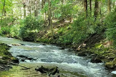 a stream in the middle of a forest at Cabin with Trails and Creek! 23 Mi to Camelback Slopes in Greentown