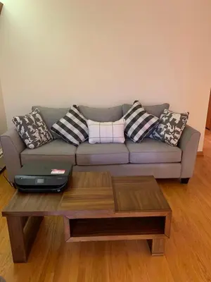 a living room with a couch with pillows and a coffee table at #1 Bright Private Room near New Brunswick, NJ downtown in New Brunswick